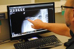 Osteopathic physician